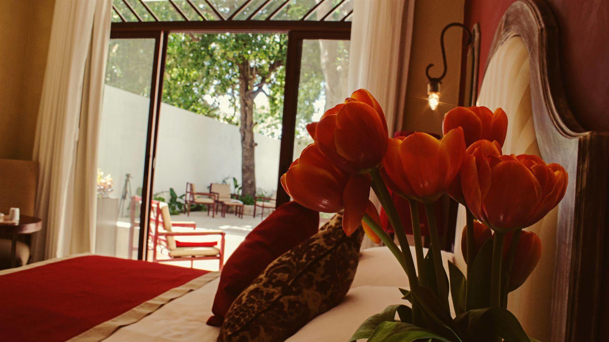 Casa Italia Luxury Guest House - Adults Only 메리다 외부 사진