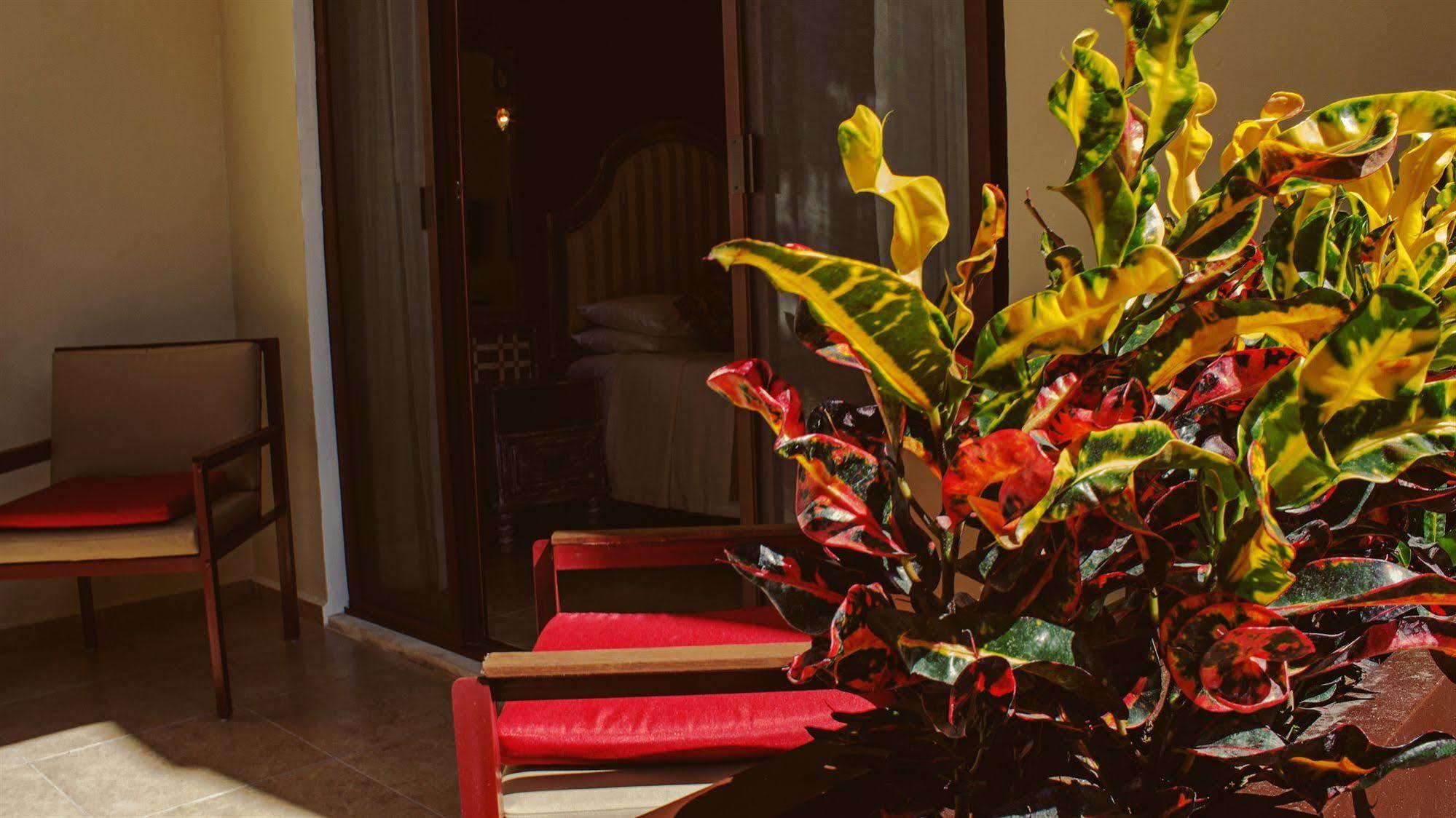 Casa Italia Luxury Guest House - Adults Only 메리다 외부 사진