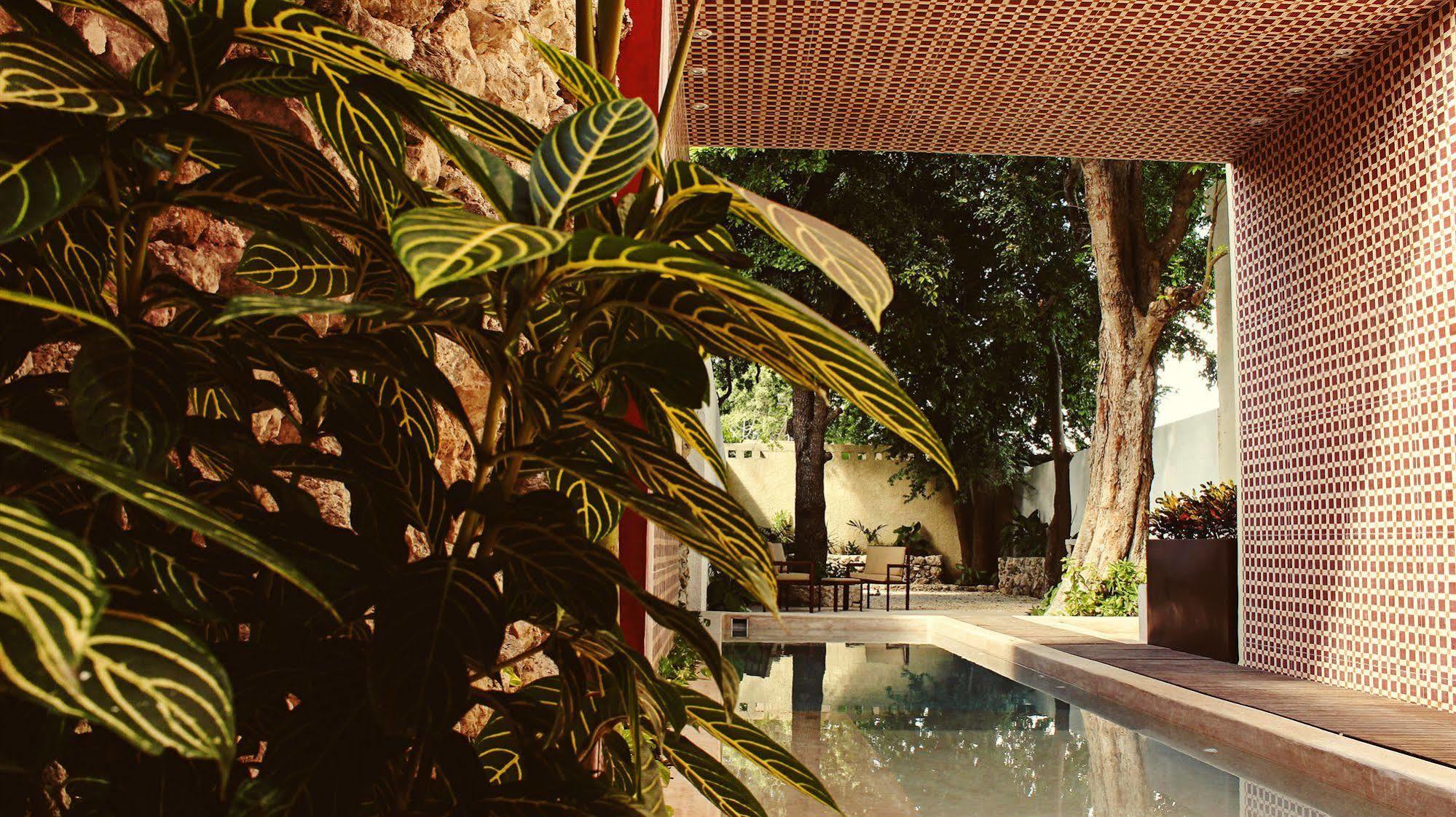 Casa Italia Luxury Guest House - Adults Only 메리다 외부 사진
